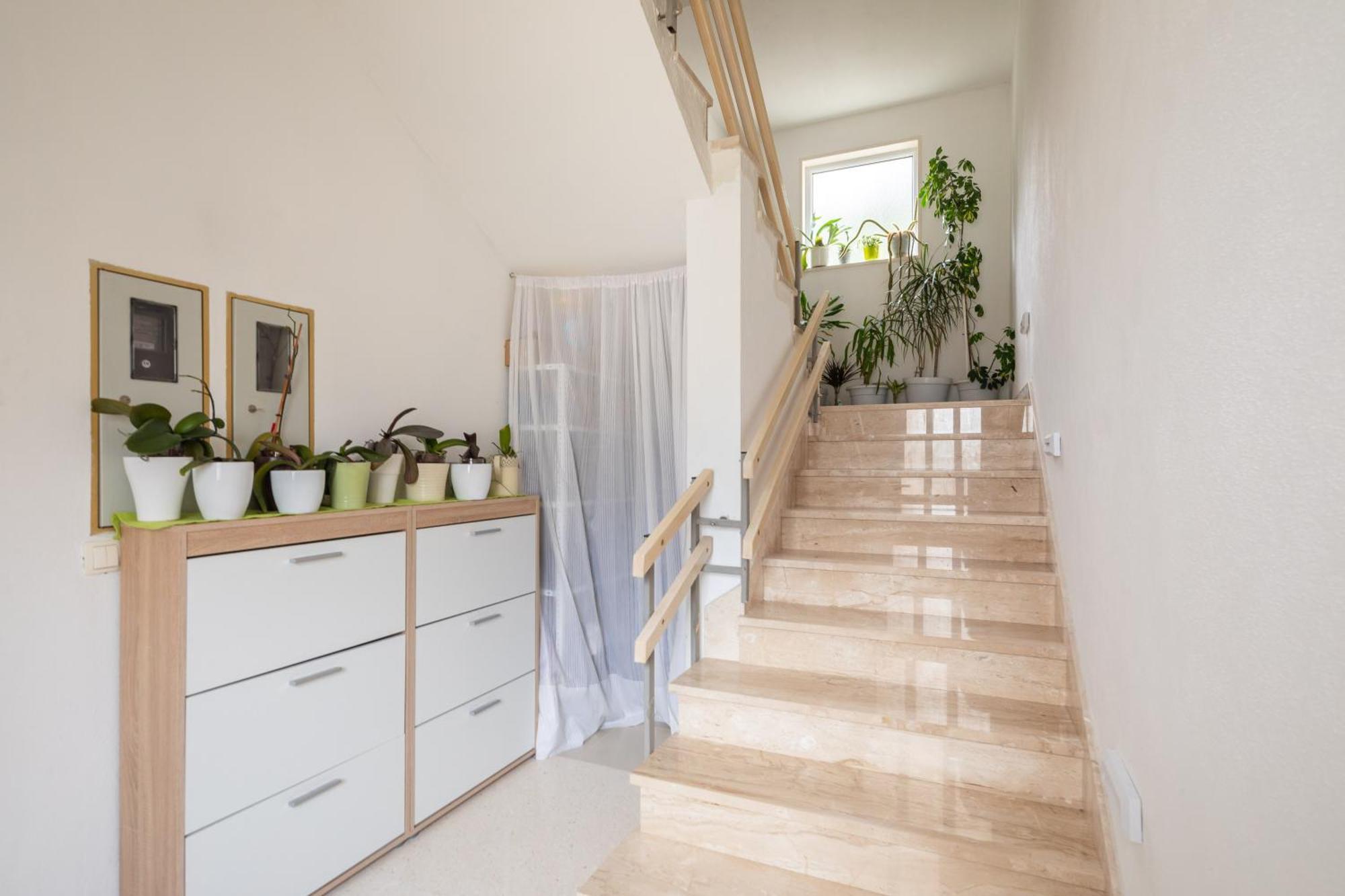 Apartments Sunshine Rays Duće Εξωτερικό φωτογραφία